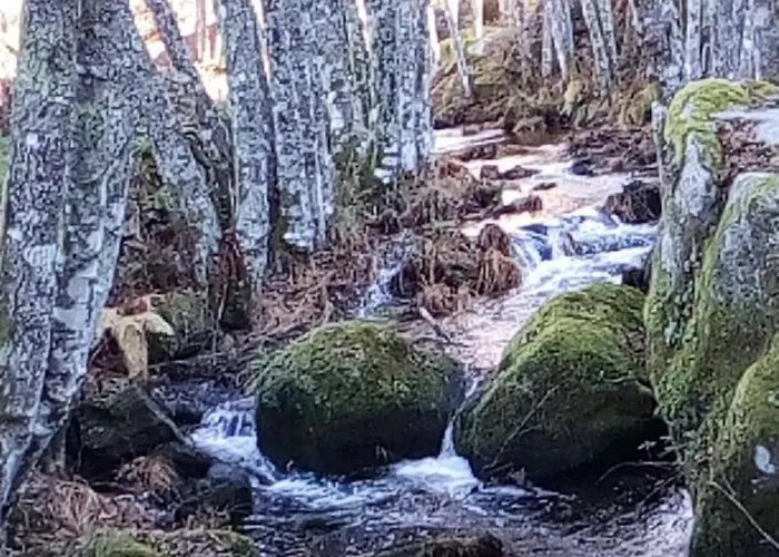 Casa Terreiro Da Lapa * Quintela (Viseu)